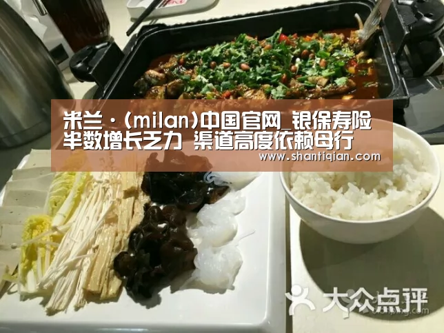 米兰·(milan)中国官网_银保寿险半数增长乏力 渠道高度依赖母行(图1) 米兰·(milan)中国官网