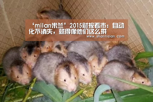 ‘milan米兰’2015财报看市:自动化不消失,就得像他们这么拼(图3) milan米兰