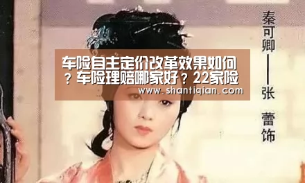 车险自主定价改革效果如何?车险理赔哪家好?22家险企参加测评‘米兰官方网站’(图1) 米兰官方网站
