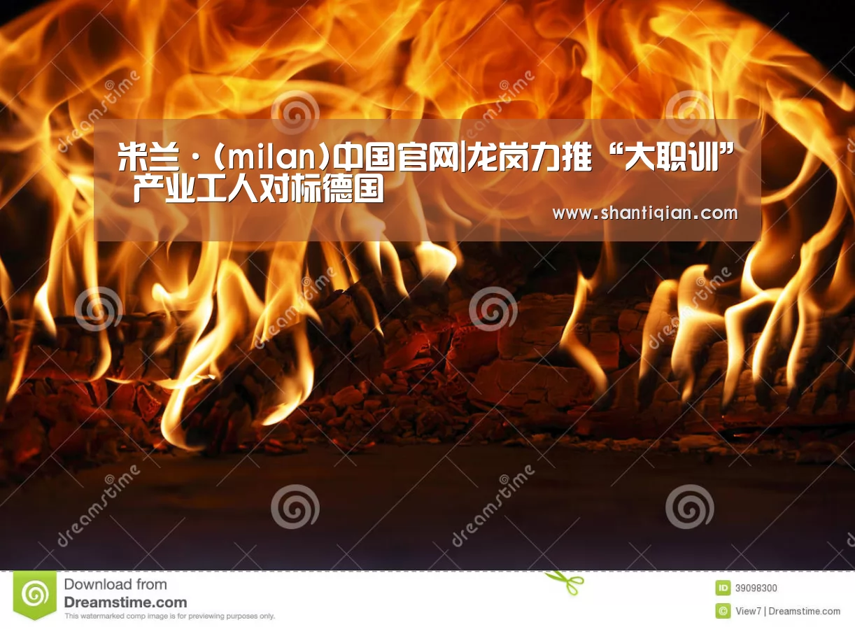 米兰·(milan)中国官网|龙岗力推“大职训” 产业工人对标德国(图1) 米兰官方网站