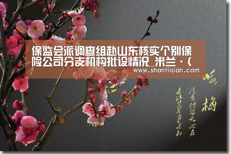 保监会派调查组赴山东核实个别保险公司分支机构批设情况_米兰·(milan)中国官网(图3) milan米兰