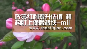 政策红利提升估值 机构盯上保险板块-milan米兰(图2) milan米兰