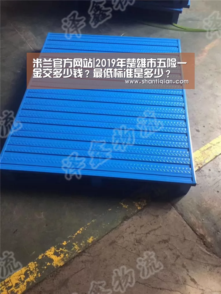 米兰官方网站|2019年楚雄市五险一金交多少钱?最低标准是多少?(图3) 米兰官方网站