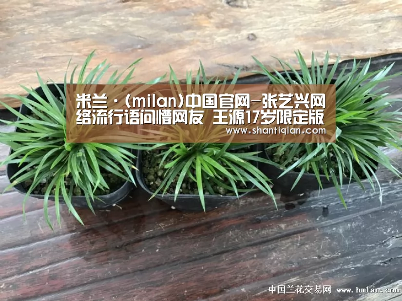 米兰·(milan)中国官网-张艺兴网络流行语问懵网友 王源17岁限定版《一样》打歌舞台本周上线(图1) milan米兰