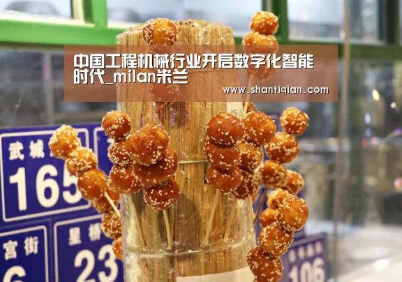 中国工程机械行业开启数字化智能时代_milan米兰(图2) milan米兰