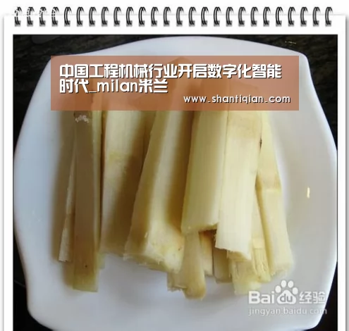 中国工程机械行业开启数字化智能时代_milan米兰(图3) milan米兰