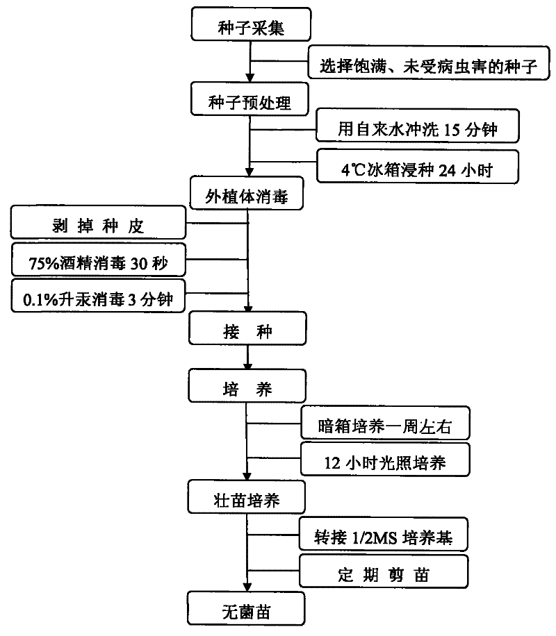 2019年朔州生育保险最新规定:报销条件、材料、流程、多少钱_米兰官方网站(图1) 米兰·(milan)中国官网