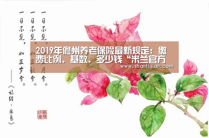 2019年儋州养老保险最新规定:缴费比例、基数、多少钱“米兰官方网站”(图2) 米兰·(milan)中国官网