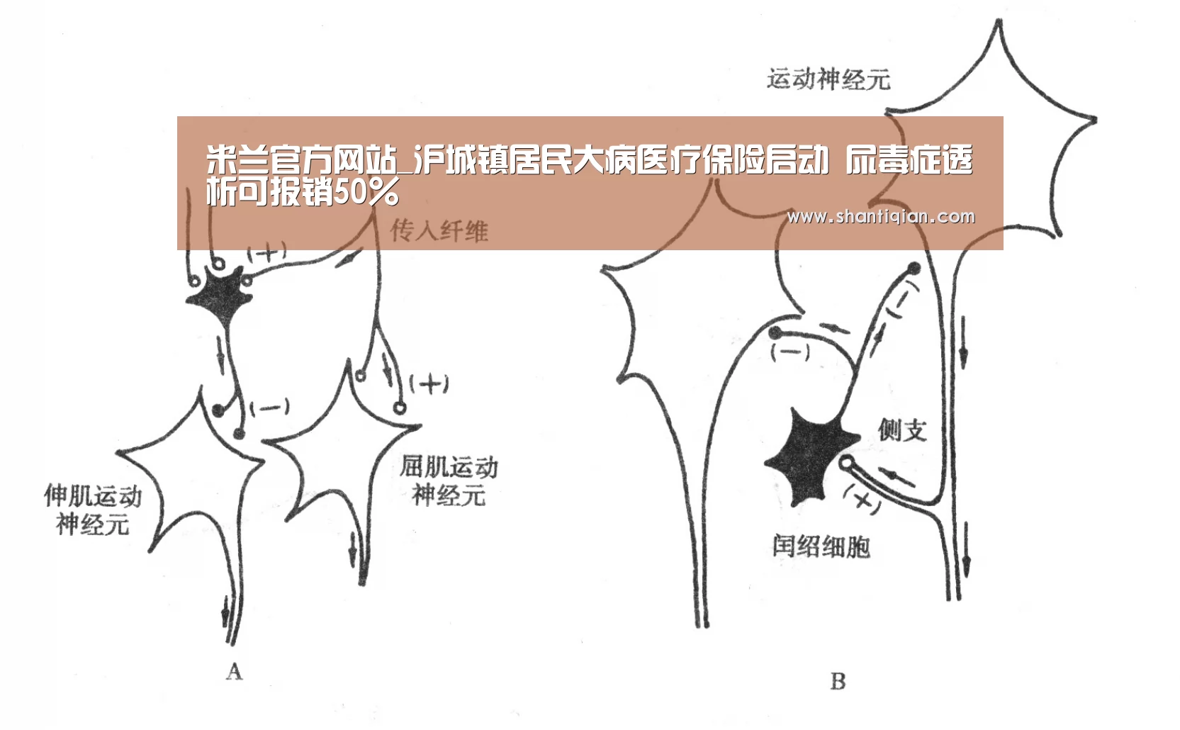 米兰官方网站_沪城镇居民大病医疗保险启动 尿毒症透析可报销50%(图3) milan米兰