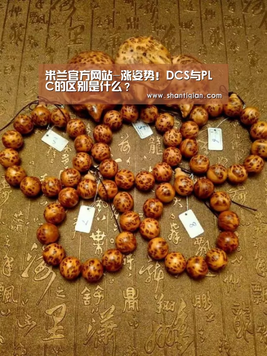米兰官方网站-涨姿势!DCS与PLC的区别是什么?(图2) 米兰官方网站
