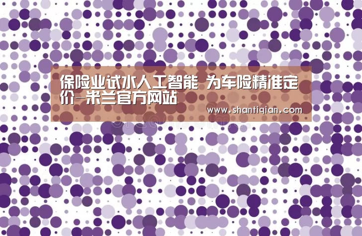 保险业试水人工智能 为车险精准定价-米兰官方网站(图2) 米兰官方网站